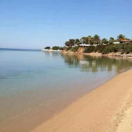 Holiday home Oikia Kastri Sithon Nikiti (Sithonia)